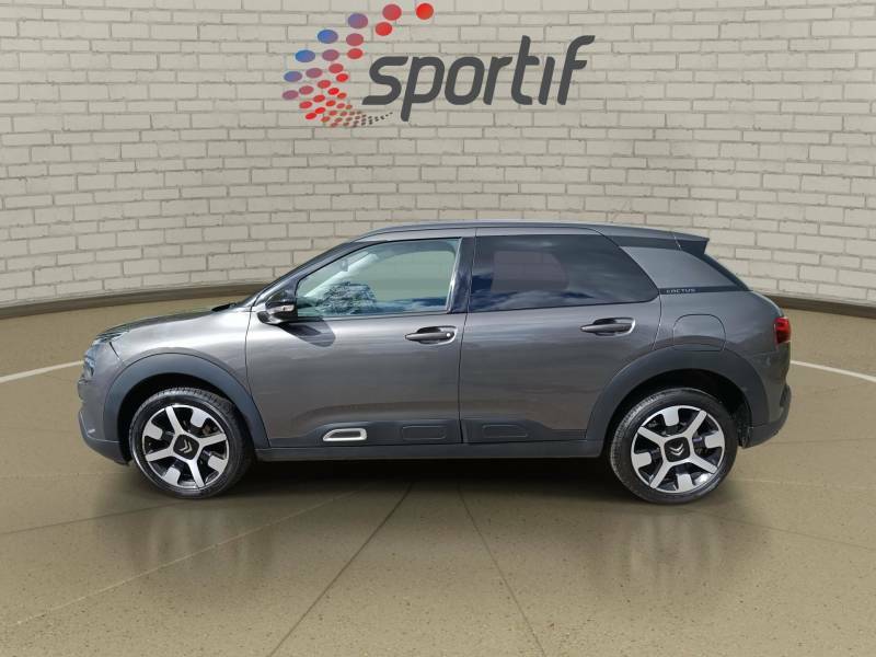 Citroen C4 Cactus Flair Grey #22