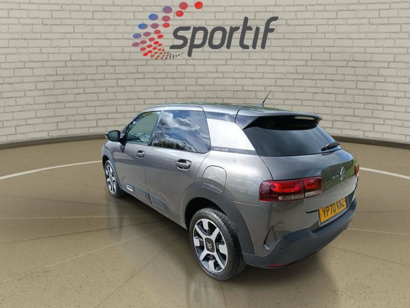 Citroen C4 Cactus Flair Grey #23