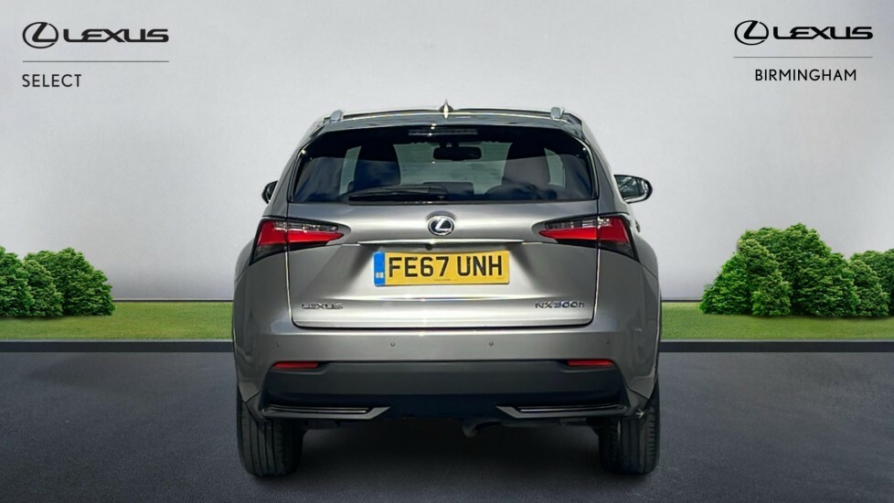 Lexus NX 2.5 300H Luxury E-cvt 4Wd Euro 6 Ss FE67UNH Silver #5