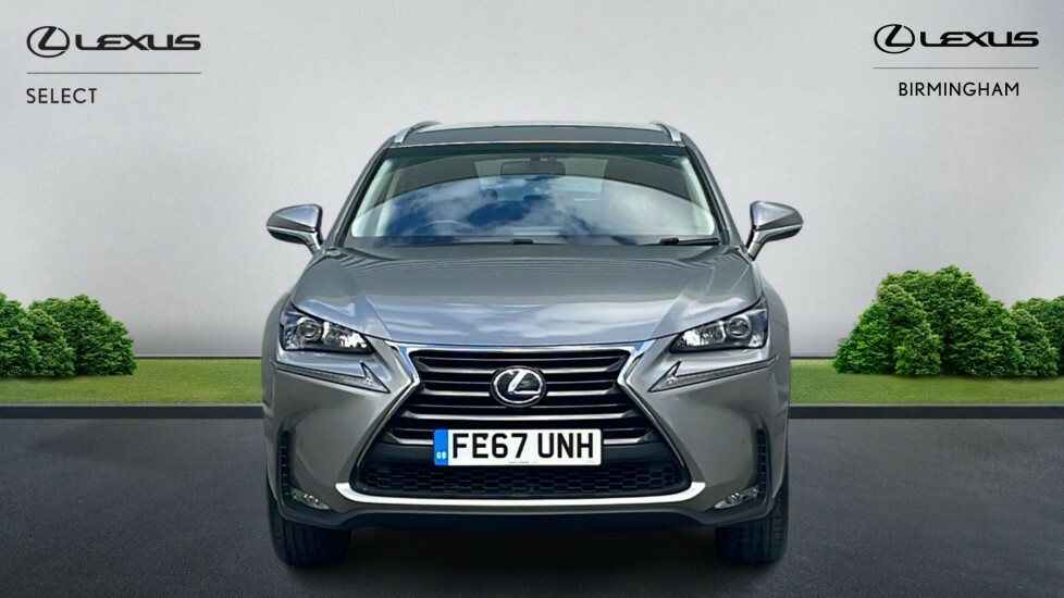 Lexus NX 2.5 300H Luxury E-cvt 4Wd Euro 6 Ss FE67UNH Silver #4