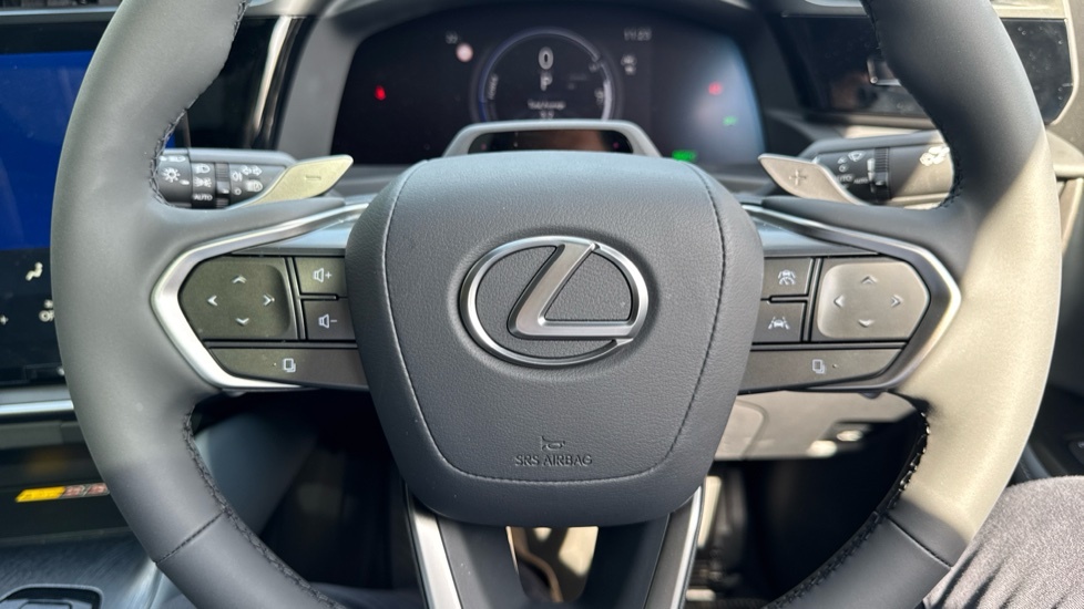 Lexus RZ 350E Premium Plus 20 Grey #11