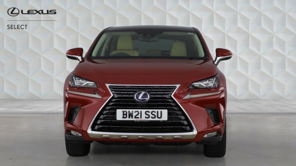 Lexus NX 2.5 300H Gpf Takumi Suv Hybrid E-cvt 4W Red #4