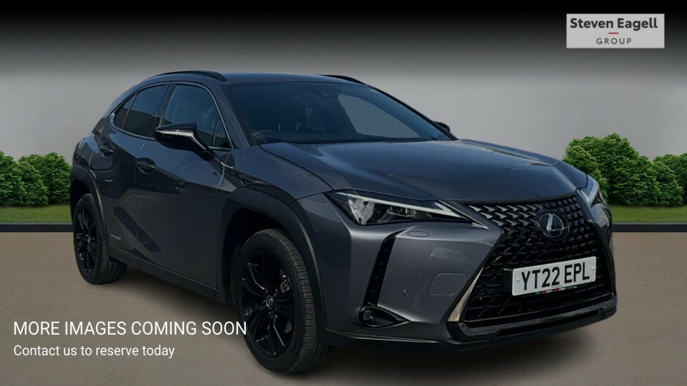 Lexus UX 54.3Kwh Auto 5dr Grey #1