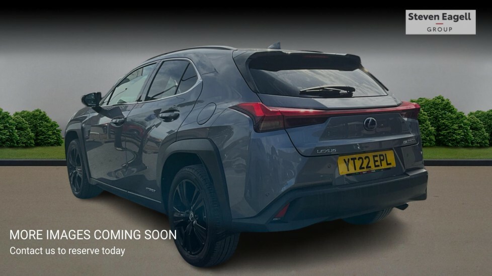 Lexus UX 54.3Kwh Auto 5dr Grey #2
