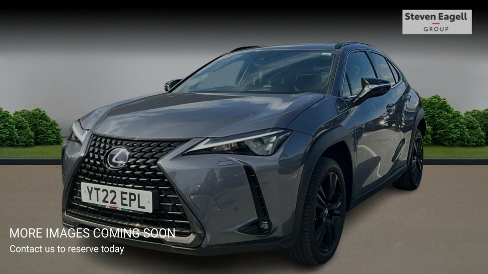 Lexus UX 54.3Kwh Auto 5dr Grey #3