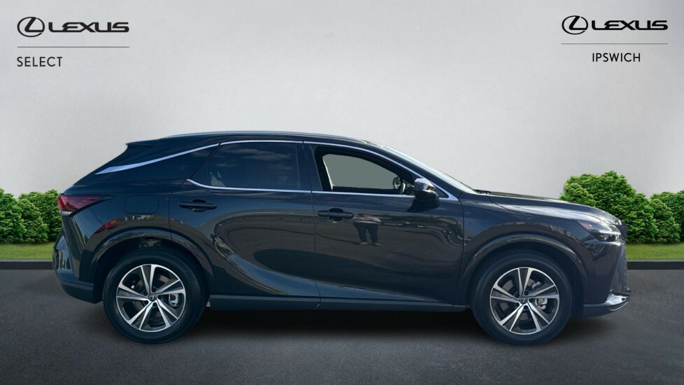 Lexus RX 2.5 450H 18.1Kwh Prem E-cvt 4Wd Euro 6 Ss Black #3