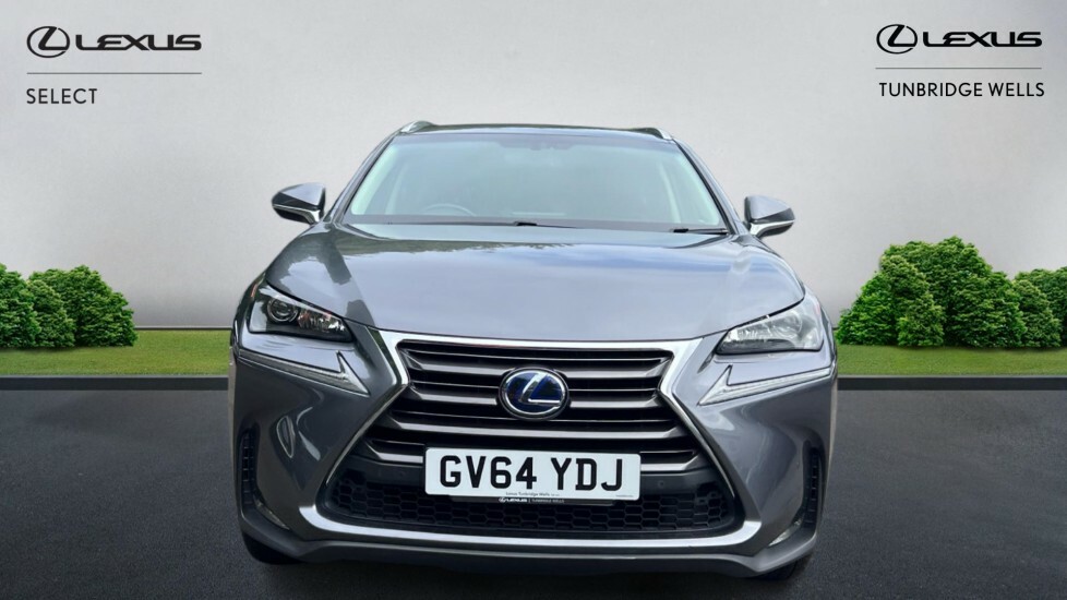 Lexus NX 2.5 300H Luxury E-cvt 4Wd Euro 6 Ss Grey #4