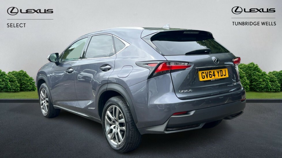 Lexus NX 2.5 300H Luxury E-cvt 4Wd Euro 6 Ss Grey #2