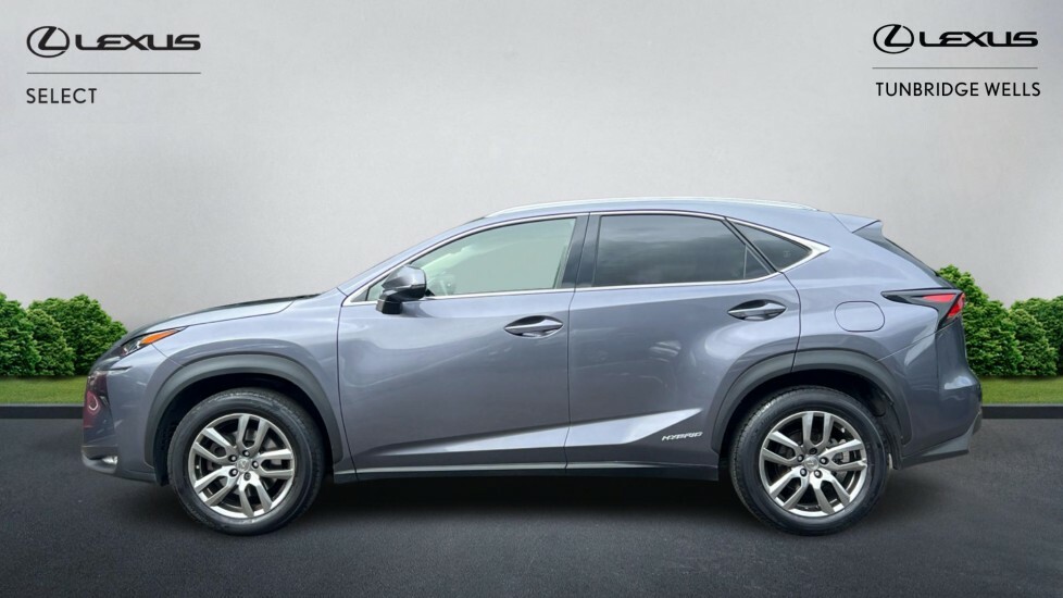 Lexus NX 2.5 300H Luxury E-cvt 4Wd Euro 6 Ss Grey #3