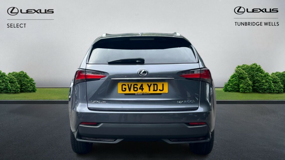 Lexus NX 2.5 300H Luxury E-cvt 4Wd Euro 6 Ss Grey #5