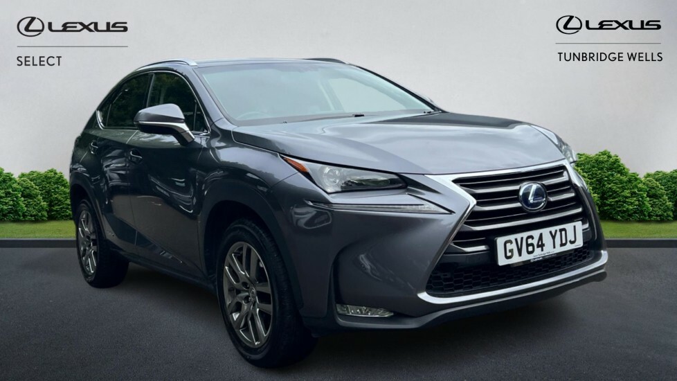 Lexus NX 2.5 300H Luxury E-cvt 4Wd Euro 6 Ss Grey
