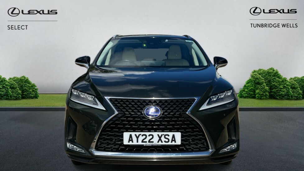 Lexus RX 3.5 450H V6 E-cvt 4Wd Euro 6 Ss Green #4