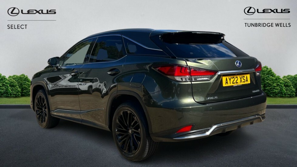 Lexus RX 3.5 450H V6 E-cvt 4Wd Euro 6 Ss Green #2