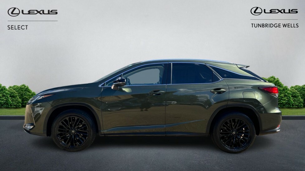 Lexus RX 3.5 450H V6 E-cvt 4Wd Euro 6 Ss Green #3