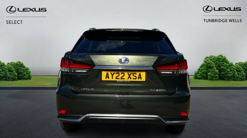 Lexus RX 3.5 450H V6 E-cvt 4Wd Euro 6 Ss Green #5