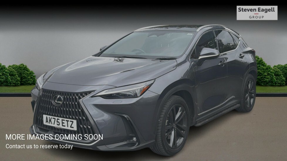 Lexus NX 2.5 450H 18.1Kwh Premium Plus Suv Plug Grey #3