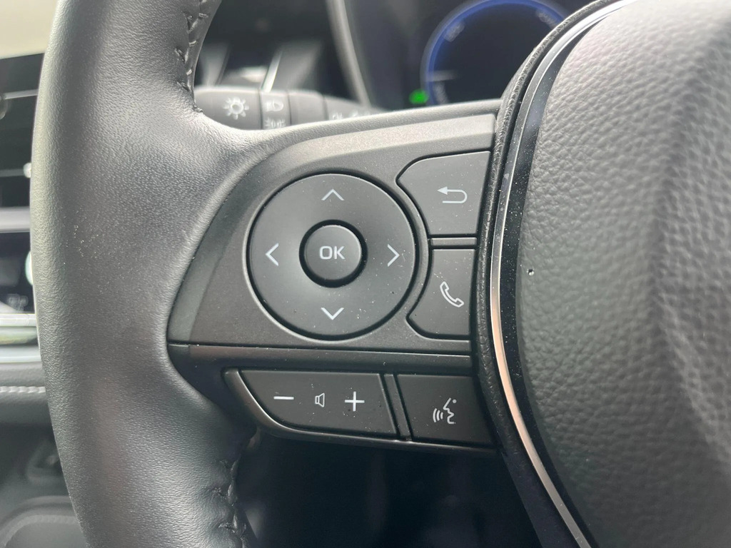 Suzuki Swace Motion Silver #21