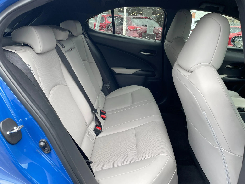 Lexus UX Ux 300E Grey #12