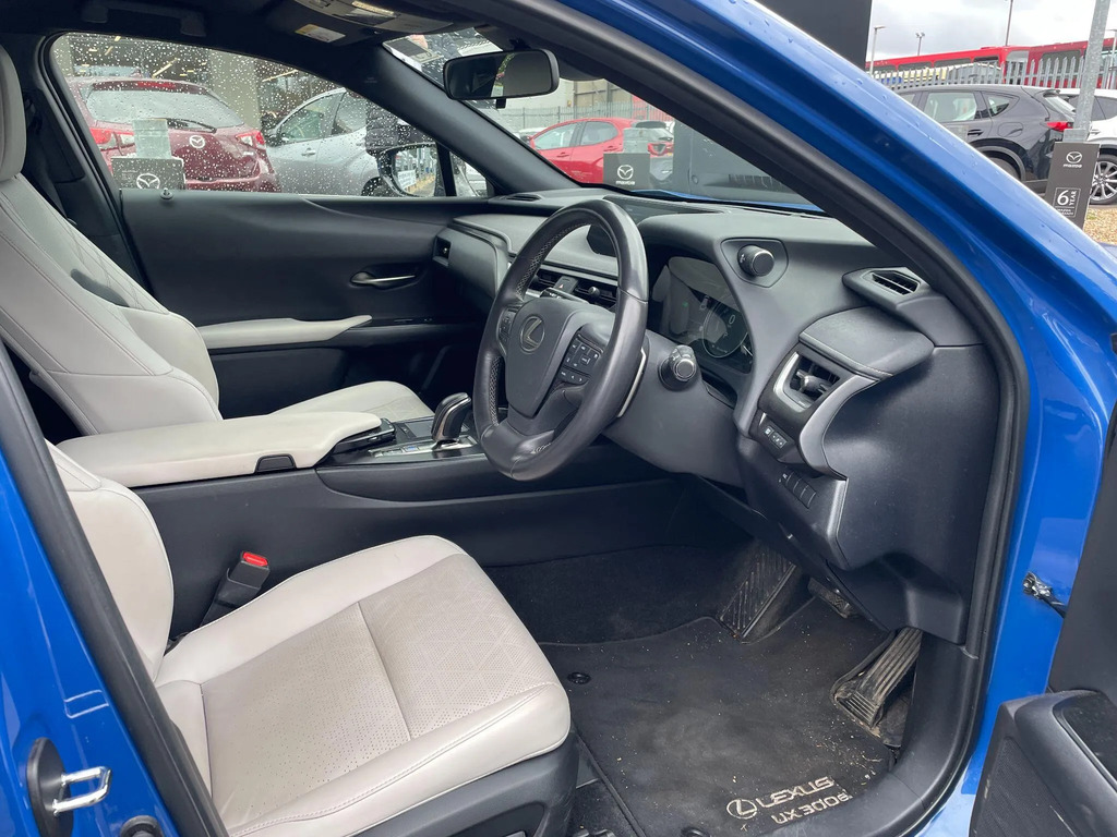 Lexus UX Ux 300E Grey #10