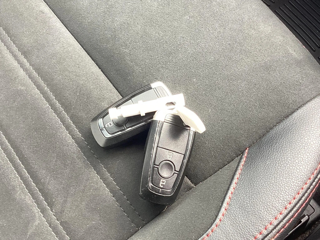 Ford Ecosport Titanium Grey #22