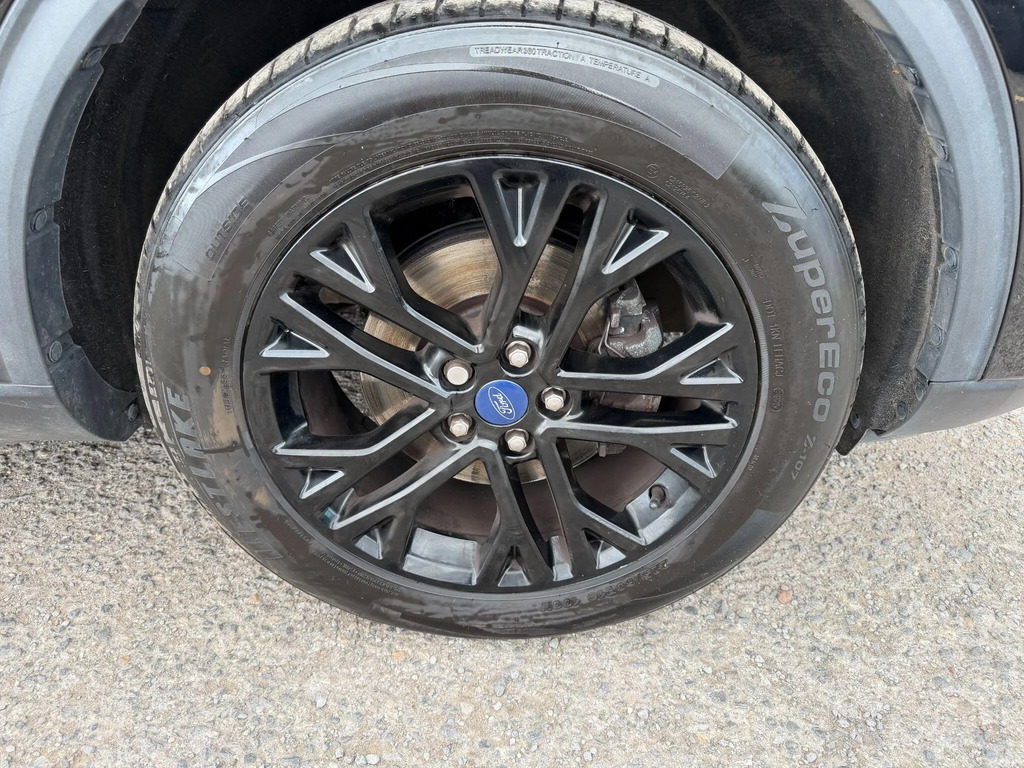 Ford Kuga 2.0 Ecoblue Mhev St-line Edition Red #14