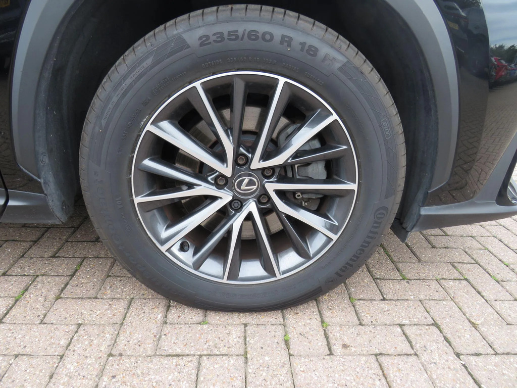 Lexus NX 350H 2.5 E-cvt 2023 White #7