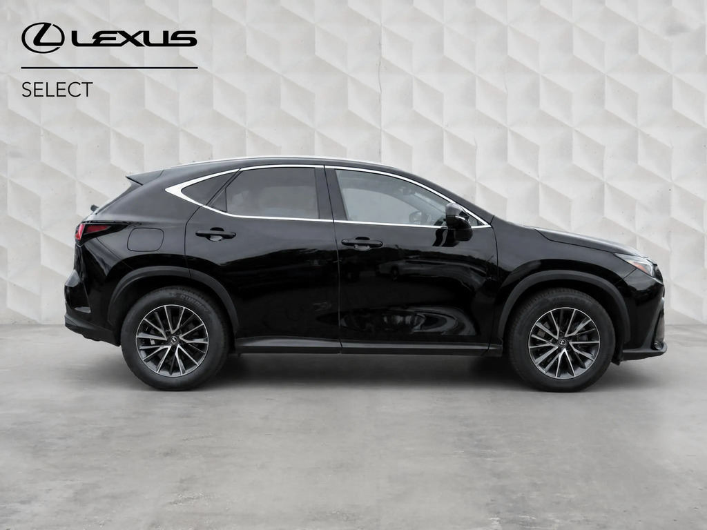 Lexus NX 2.5 450H 18.1Kwh Premium E-cvt 4Wd Euro 6 Ss #2