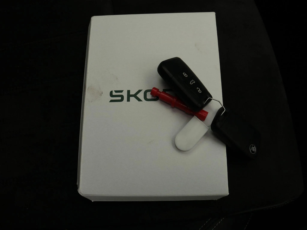 Skoda Karoq Suv Grey #29