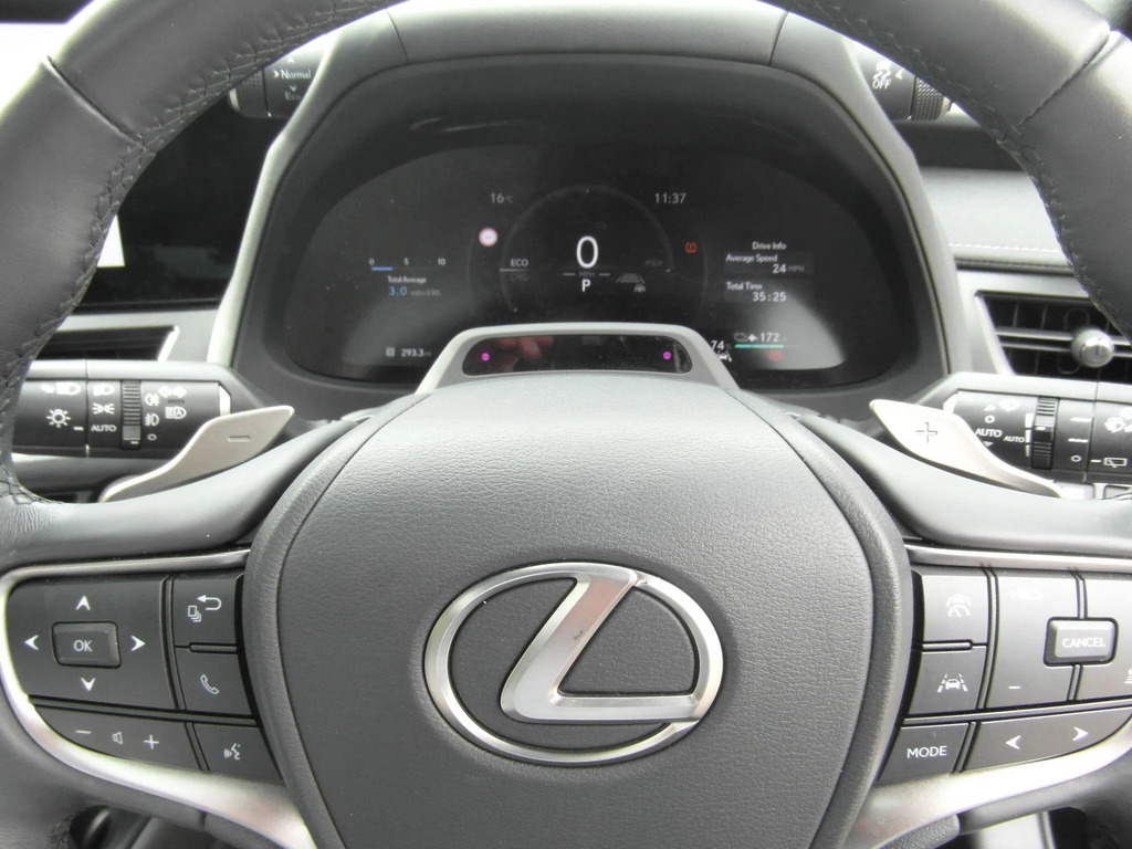 Lexus UX 2.0 300H Premium E-cvt Euro 6 Ss Black #32