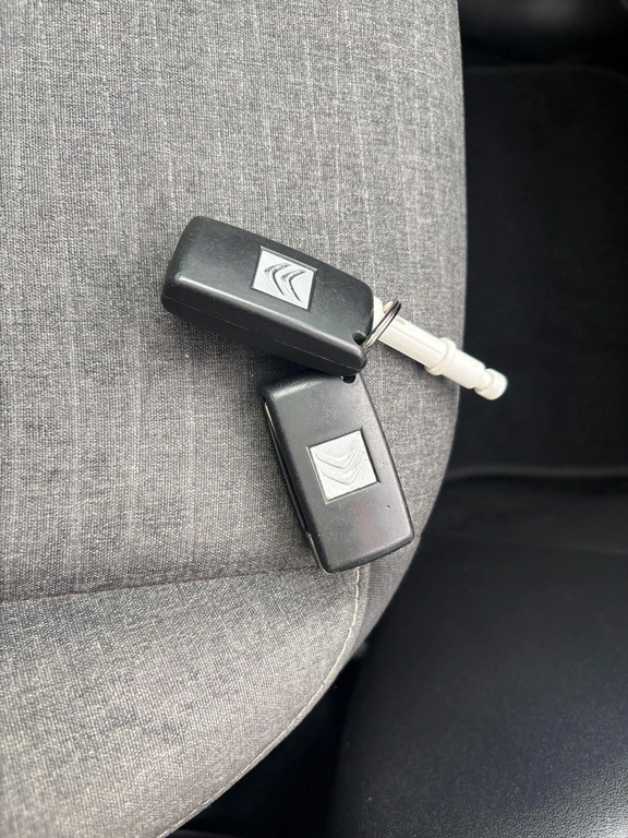 Citroen C3 Picasso Platinum White #24