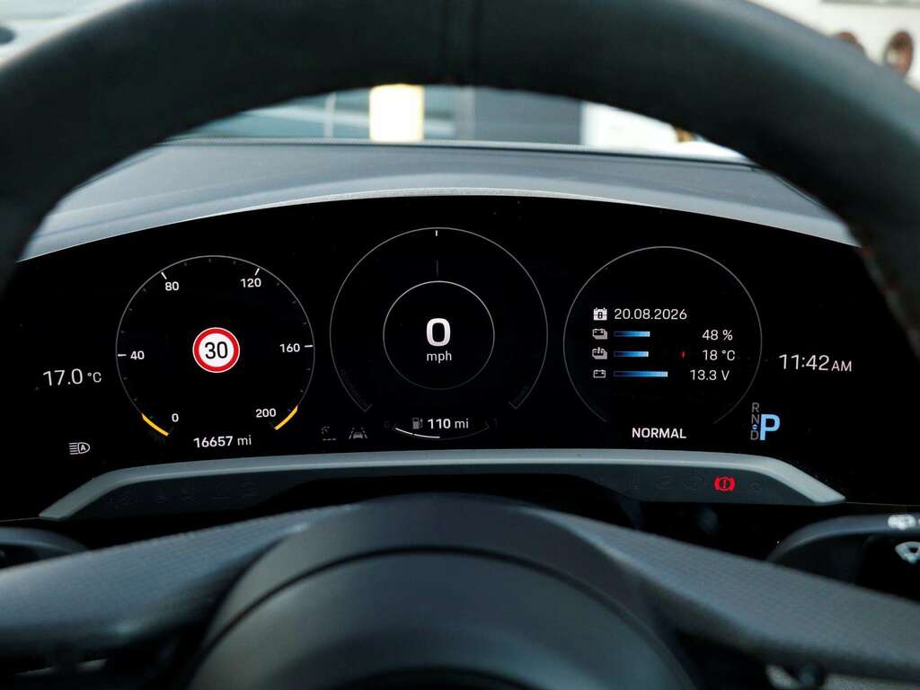 Porsche Taycan Performance Plus 93.4Kwh  #13