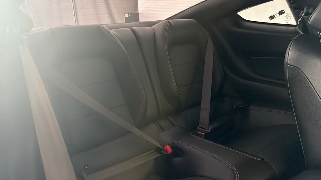 Ford Mustang 2.3 Ecoboost 290 Bhp Grey #12