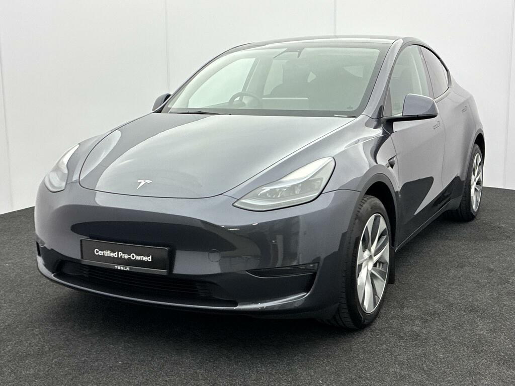 Tesla Model Y Long Range Silver #3
