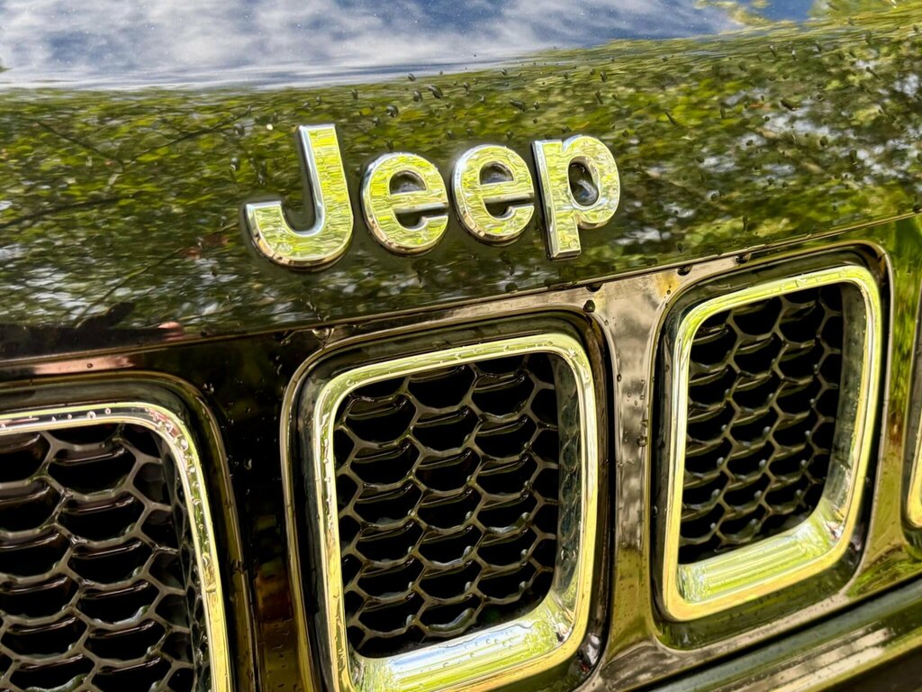 Jeep Compass 1.6 Multijet II 120 Ps Limited 4X2 Brown #18