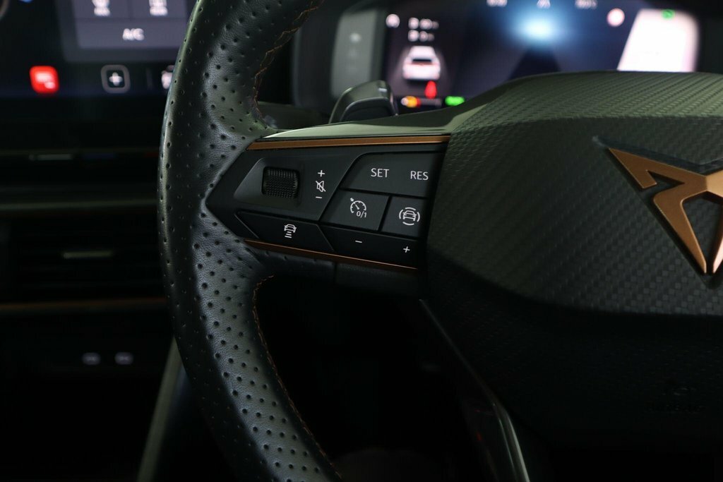 Cupra Formentor Vz3 Black #15