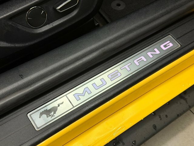 Ford Mustang 5.0 V8 Gt Grey #46