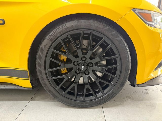 Ford Mustang 5.0 V8 Gt Grey #28
