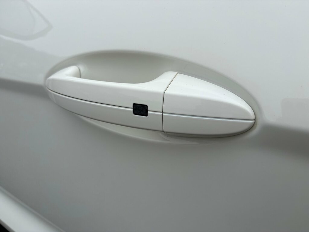 Ford Ecosport Titanium Silver #20