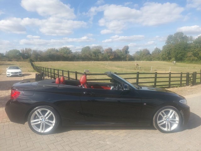 BMW 2 Series 2.0 218D M Sport Convertible Eur Black #2