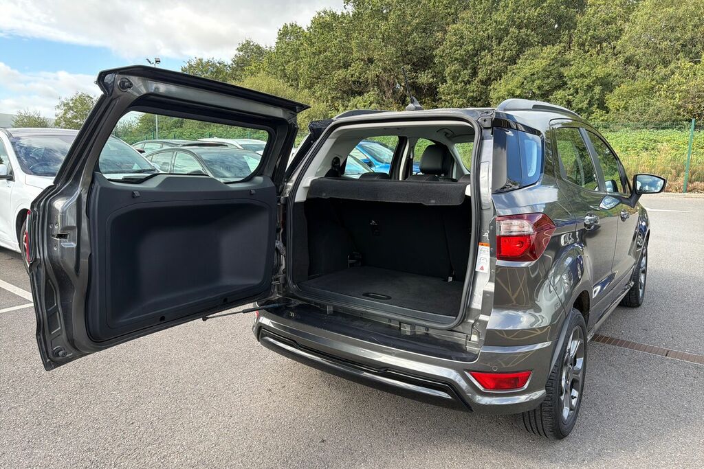 Ford Ecosport St-line White #21