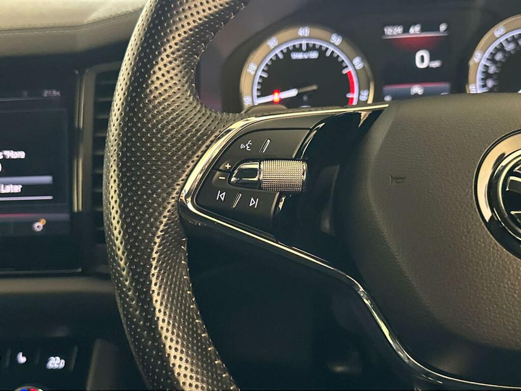 Skoda Kodiaq Se Blue #17