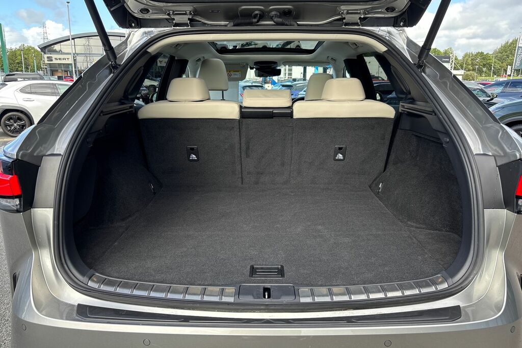 Lexus RX 450H Plus Takumi  #14