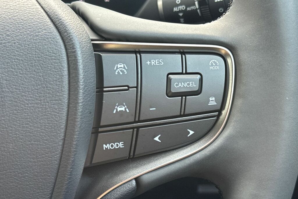 Lexus UX 300E 72.8Kwh Premium Plus Black #34