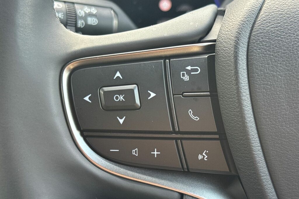 Lexus UX 300E 72.8Kwh Premium Plus Black #35