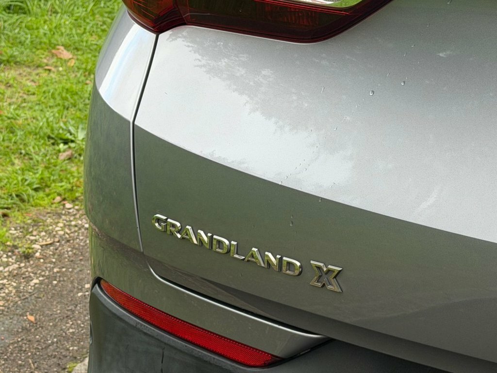 Vauxhall Grandland X Blue #13