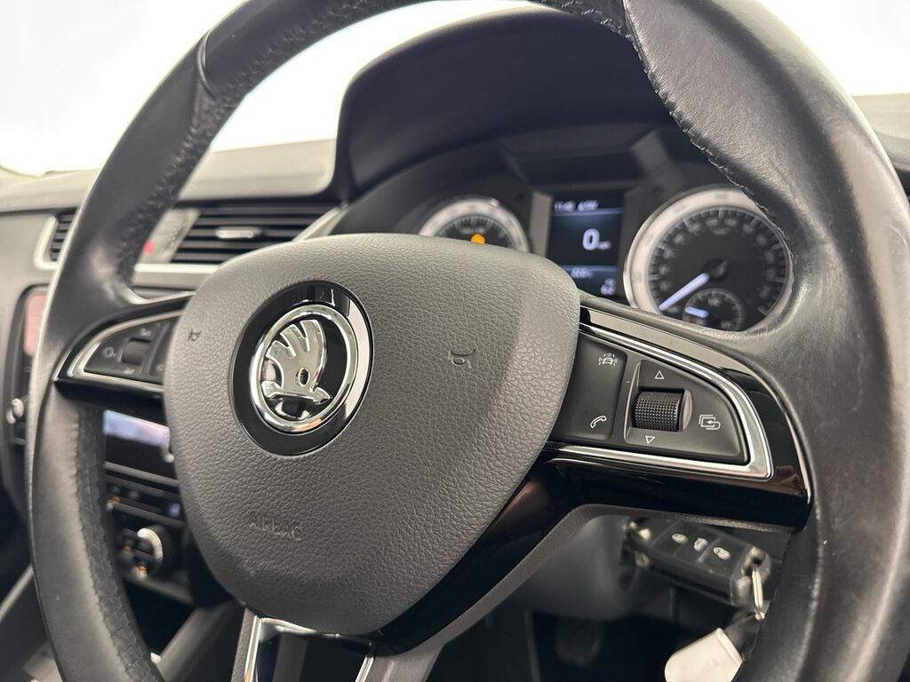 Skoda Octavia Se Grey #21