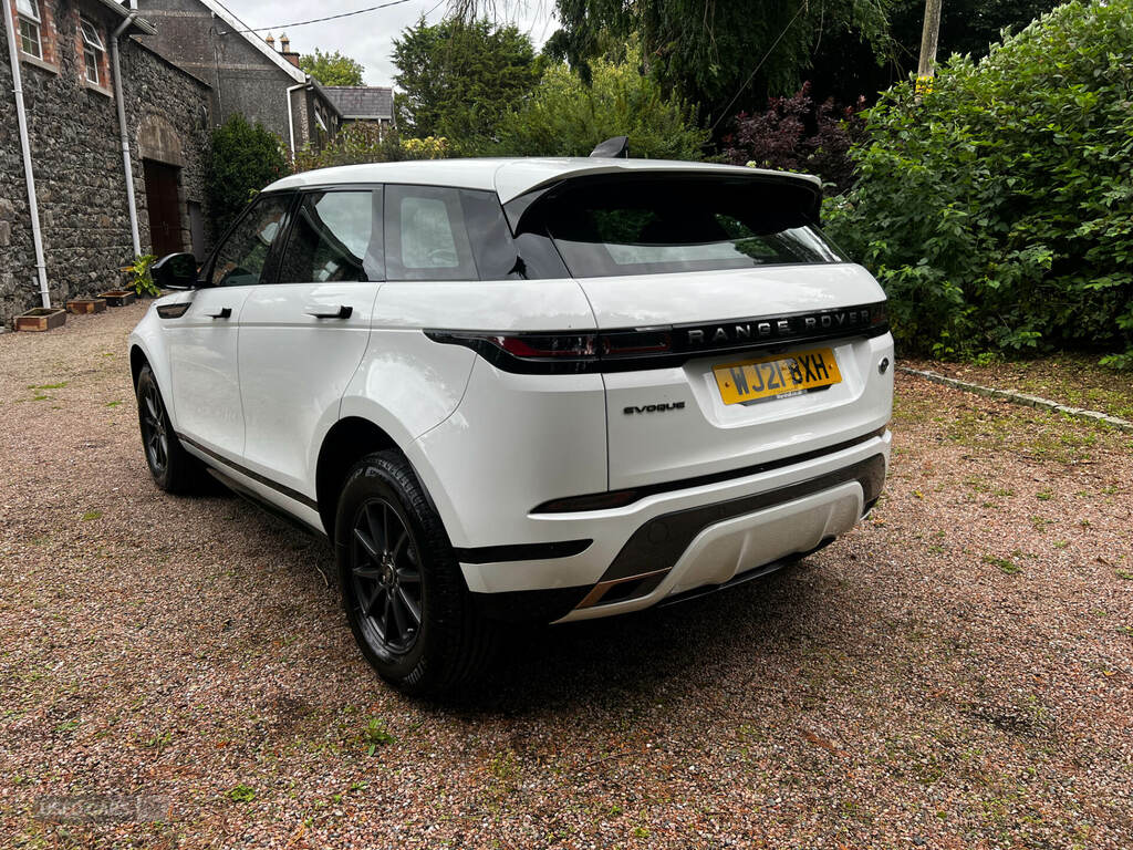 Land Rover Range Rover Evoque 2.0 D165 R-dynamic 2Wd WJ21BXH White #6