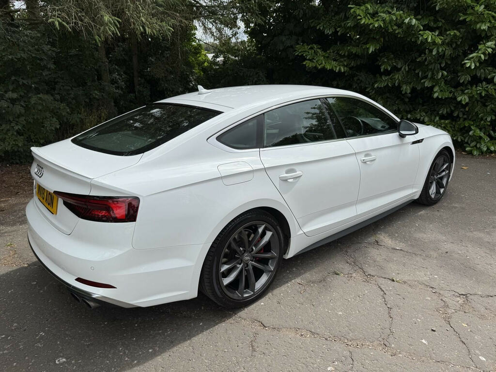 Audi S5 3.0 Tfsi V6 Sportback Tiptronic Quattro White #5