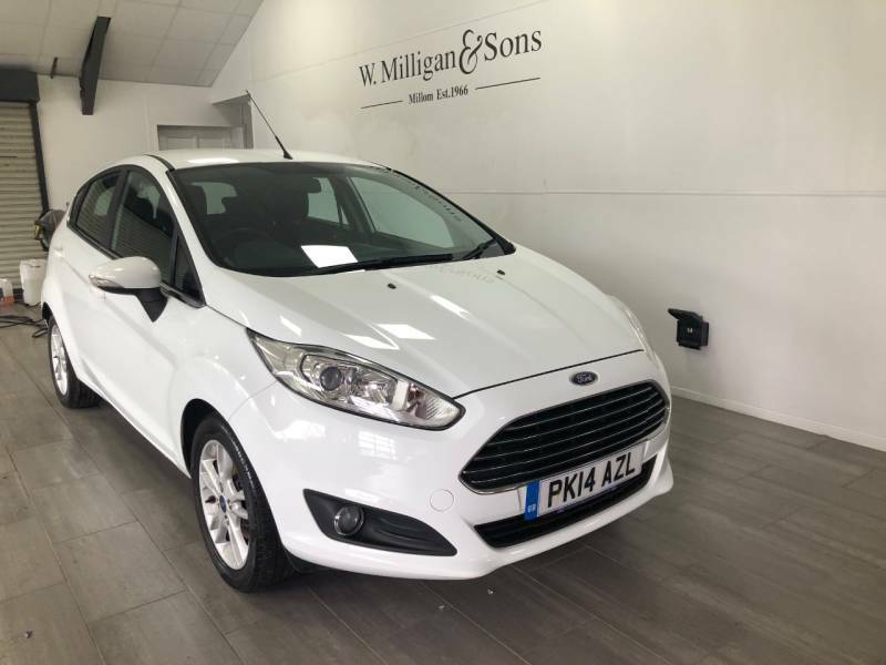 Ford Fiesta  Grey #2