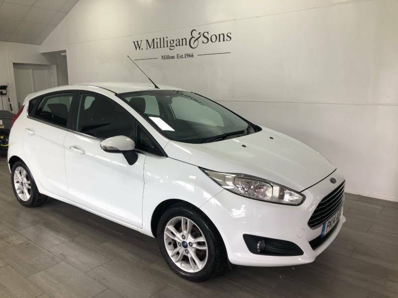 Ford Fiesta  Grey #1